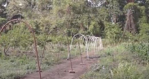 羡慕农民大叔发明运送水果神器,不用油不烧电,三分钟搞定5吨！