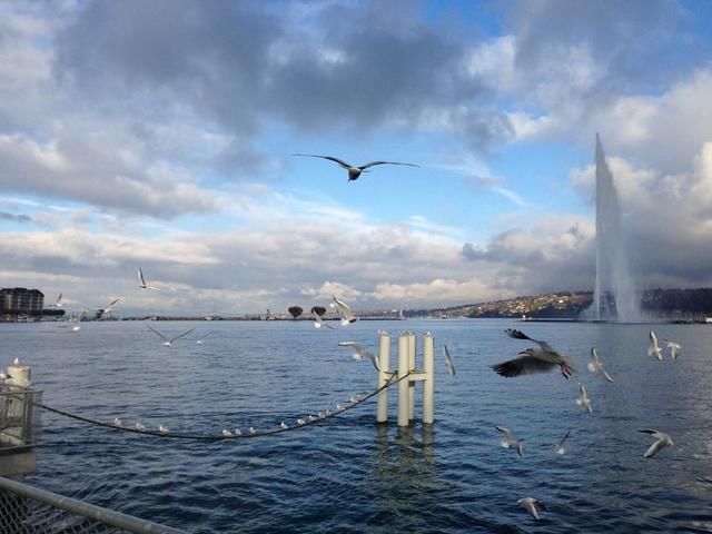 世界上最大的人工喷泉,每秒喷出500公升流量的水,可喷射140米高