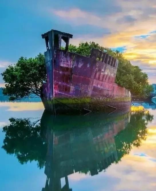 天堂照片!(快看)