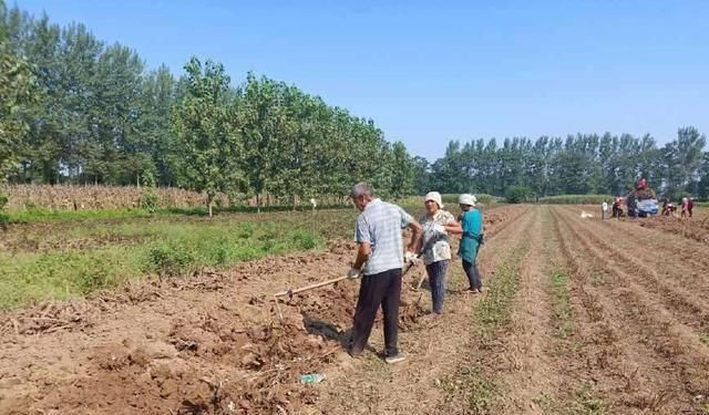  【解脱】化肥和农资价格在今年有所上涨，农民感觉好像解脱了，为什么呢？