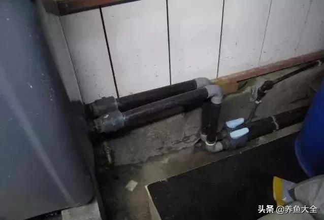  「漂亮」这么漂亮的龙池，竟然用3个垃圾桶做过滤？