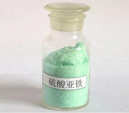  「黄叶」过年买的杜鹃花，干枯黄叶、落花苞？教你5招，养成茂密盆栽