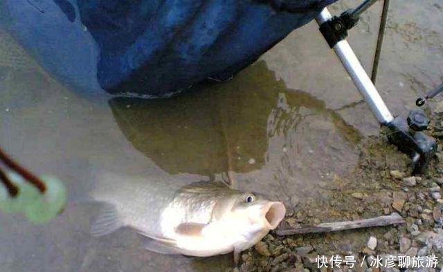 「管理费」水库征收环境管理费,能否被钓鱼人接受钓友不合理!