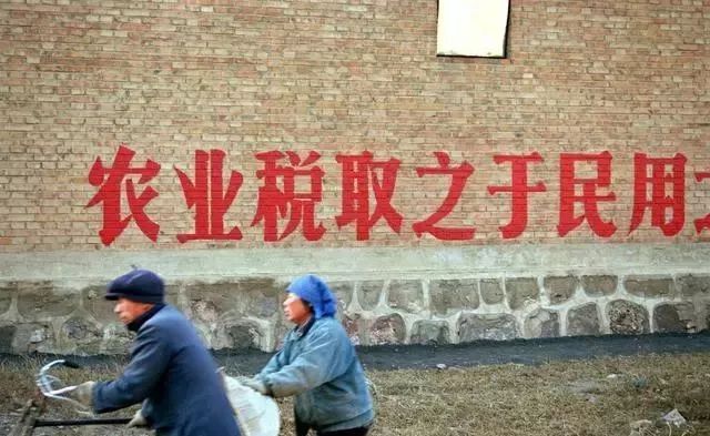 2019，新土地改革制度来了：严禁以下6种违规操作，农民请监督！