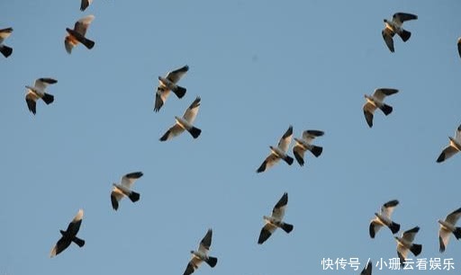  『违法』出国旅游不能踩的“雷区”，不知道的人，小心笑话！