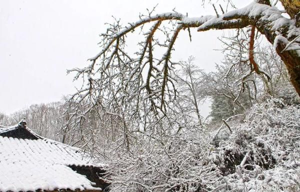 汉中雪景第二波!水墨丹青里的童话世界