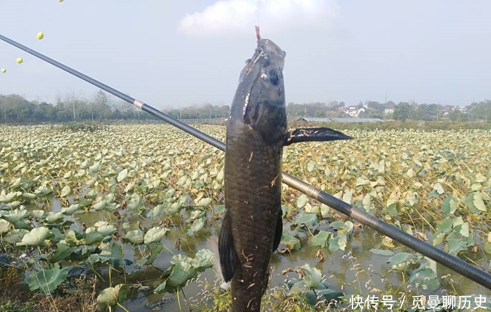 「七星」七星漂这样改进,即可钓底也能跑铅,关键还可以打浮,灵活多变!
