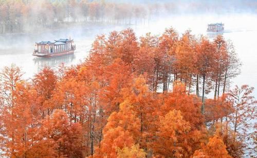 中国最漂亮的“水上森林”，在这个地方随便拍一张风景照，都是艺