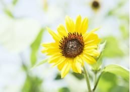  人脉|事业单位每月工资两三千，为什么大多数人非进不可呢？