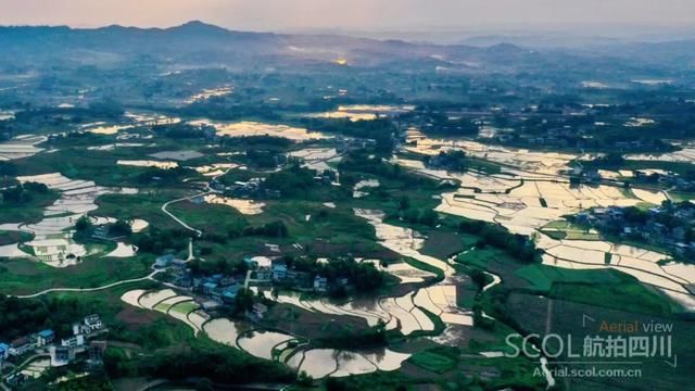  田园：谷雨时节插秧忙 华蓥山区谱写田园春曲