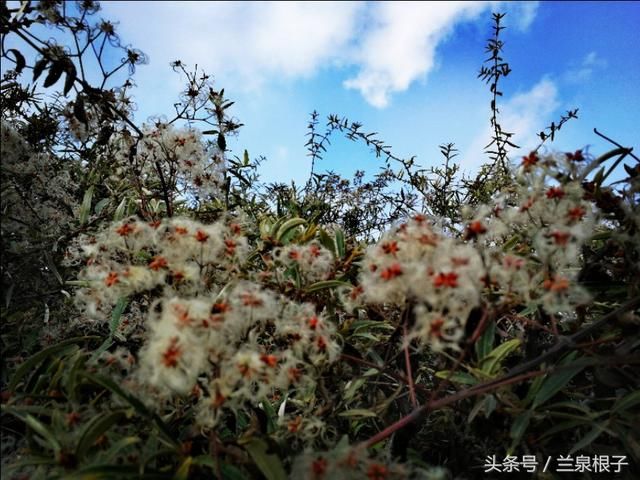 兰州秋天最美的景 北国南地石佛沟