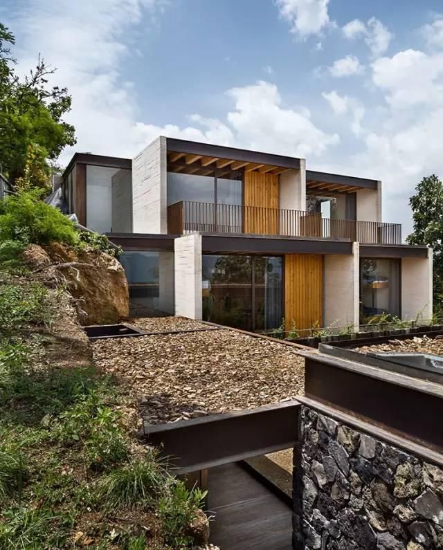 我的屋前有颗树！庭院景观设计 庭院树木 因树建房 依山建房