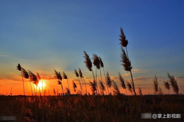 『街区』天津-多元特色街区并存的独特格局,国家历史文化名城
