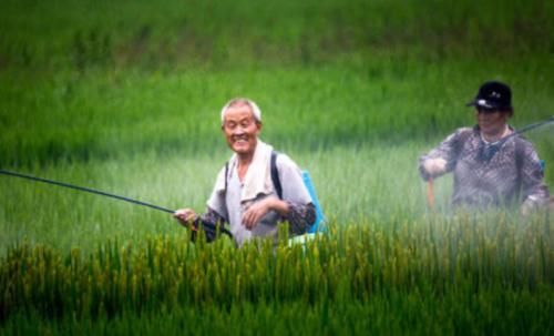  #一条#在农村，为什么有些人家在屋前挖一条水沟？老农民：这叫