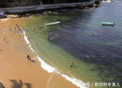 奇闻海水突然变成黑色，游客被吓跑到岸边，看清后兴奋跳入海中