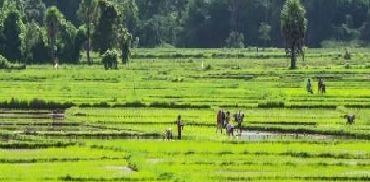 王维一首诗意境清新,生活充满美好,只要细心寻找