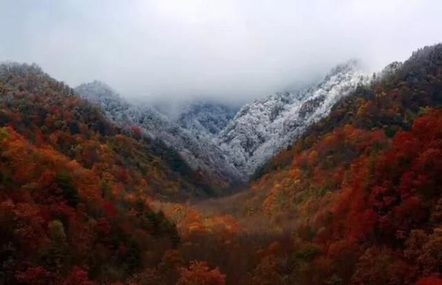 初冬已至,降温来袭 | 陕西这些地方已经下雪啦!想看雪景的走起