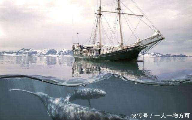  「出海」为何辽宁舰每次出海，后面都要跟一群鲨鱼？真相让人难以接受