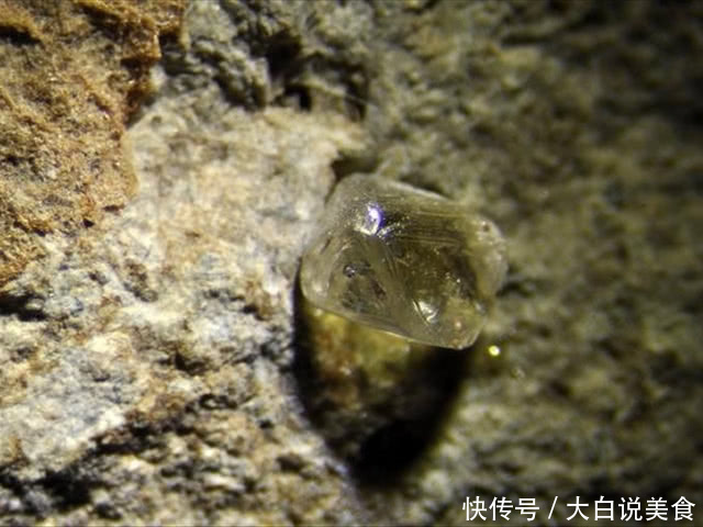 这处公园遍地钻石，游客自带工具来了就是挖！中国网友：留点！