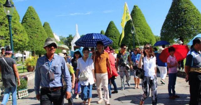 泰国当地人都不买的东西，却遭中国游客哄抢，导游：“灵丹妙药”