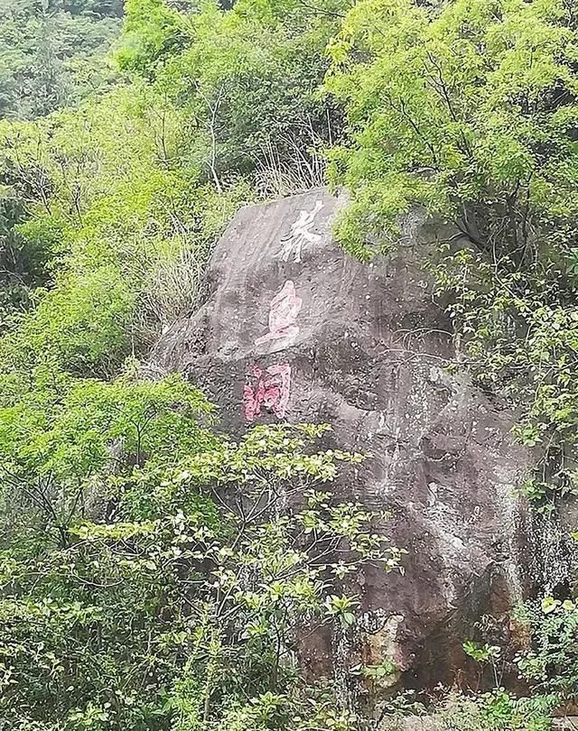  【马村贡米】走进青川县建峰镇