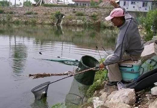  钓友们■是哪些原因导致黑坑鱼口短暂，有什么好办法来解决么