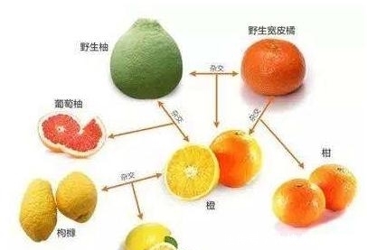  「进来」教你如何浪费10分钟，点进来看看这些有趣但无用的冷知识就成功了
