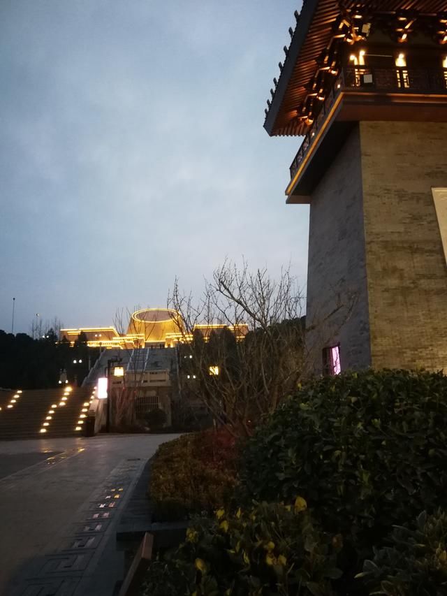 外国友人称：东部像“美国”，西部像“非洲”