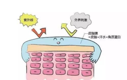  【砖墙结构】为什么一个女人要用这么多种护肤品?