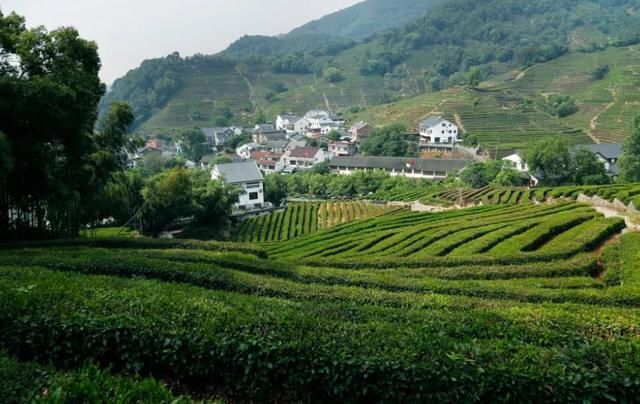 今明两年内完成县域、村域乡村振兴战略规划