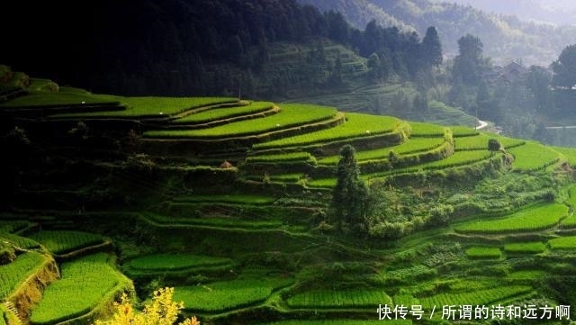 全国人民最想去的地方：壮观梯田景观，甜美镇远古镇，贵州欢迎你