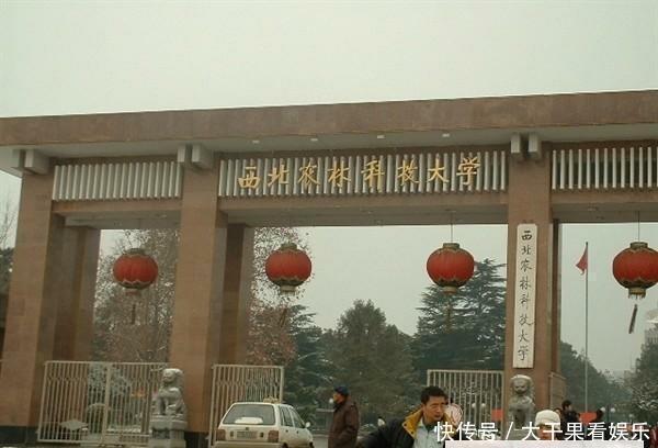 985、211、副部级、教育部直属、全国重点都是的26所大学