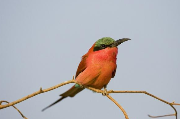  「我国」奇怪了我国这个姓氏没有列入百家姓，但人口却达700万