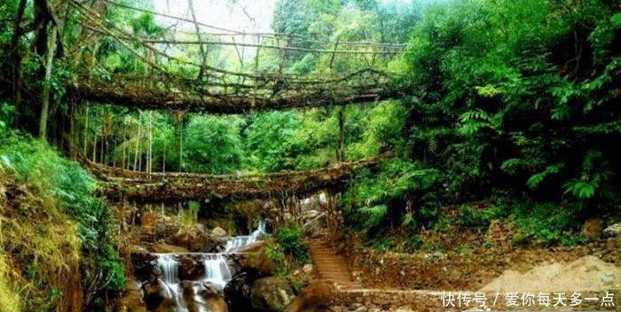 被誉为全球最潮湿的地方,一年难见太阳,被子上都能长出蘑菇 !