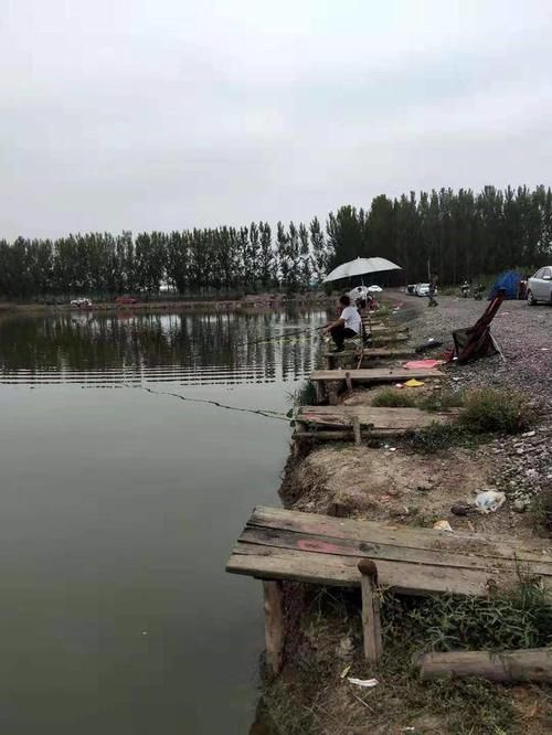 『大鲤鱼』春季鲤鱼,大师都这么找钓位,收获满满
