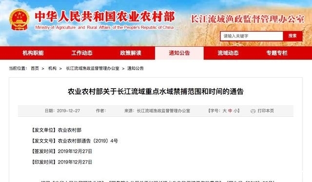  中华鲟|又一个物种灭绝，中国淡水鱼之王未能跨入2020……