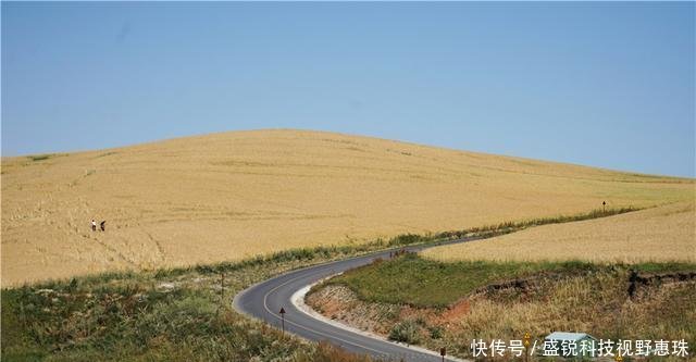 9月来新疆旅行，江布拉克的万亩麦子丰收宛若一幅天然风景画