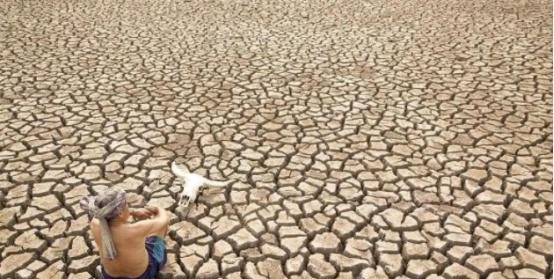 2019气候忽冷忽热，科学家厄尔尼诺现象将会产生十分严重的后果