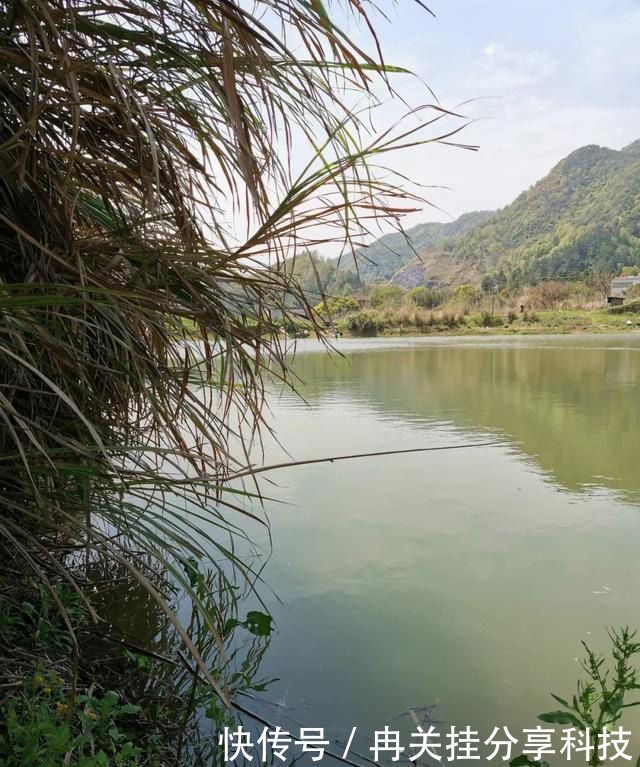 [水面]小水面钓短，大水面钓长？未必，有时候打破常规反能提升渔获