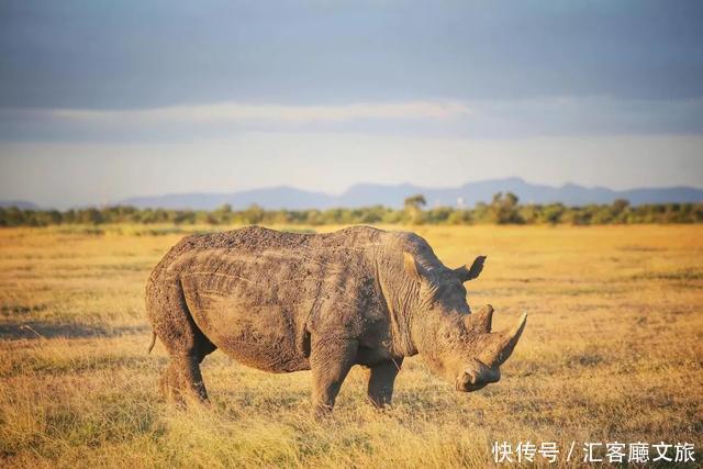 旅行达人推荐：人一生中最值得去的30个地方，你去过几个？