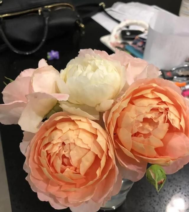  『丰花性好』狼家自育的表现到底如何，戳进来看看花友们的大实话