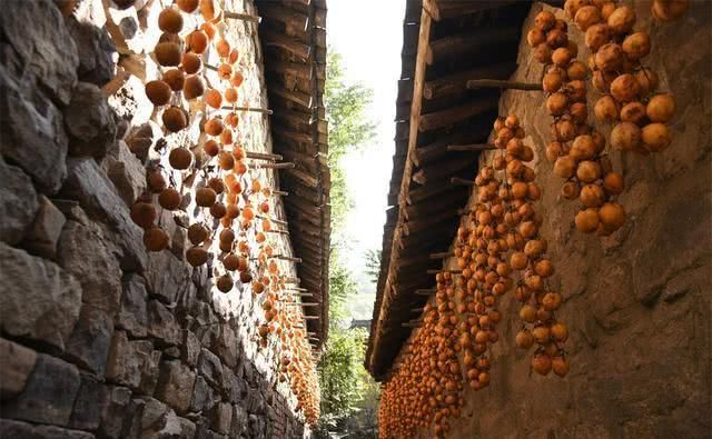 六旬老人用传统工艺做柿饼,一天削600个柿子,做的柿饼很抢手