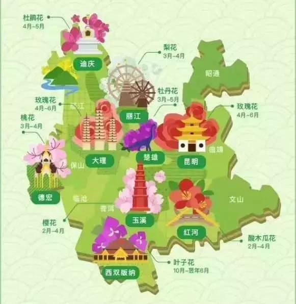 春季花开哪家强？云南16州市最美赏花点看过来！