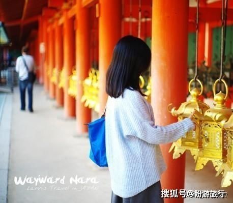  「祈福的灯笼」DAY2日本深度自由行之大阪都门奈良城崎旅行日记