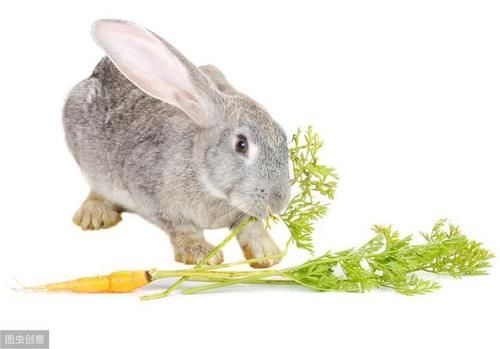  创业|农村人创业不难，5个低成本小生意，看你如何把握