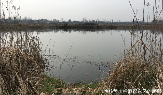  「少打一点窝料」窝量有多有少，打对最为重要！把握这4点，钓鱼打窝不头疼
