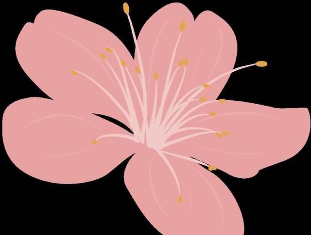  [粉底]彩妆 | 今年的春日妆，你得这样做算法