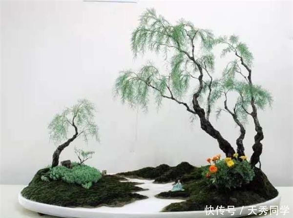 写意■走进郑州一座“重在写意”的盆景园林:河南中州盆景文化园