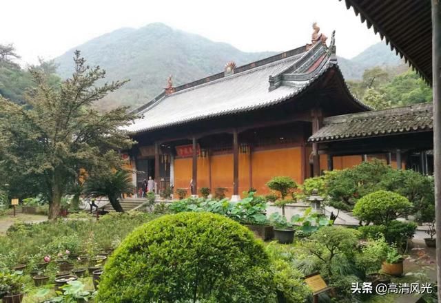 寺若成，国既清 隋代古刹国清寺清明一行 免费的5A景区