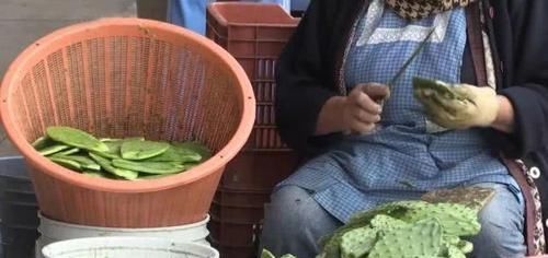  【国家】仙人掌当“零食”，签子窜起来烧烤，也不怕刺扎嘴，你吃过吗
